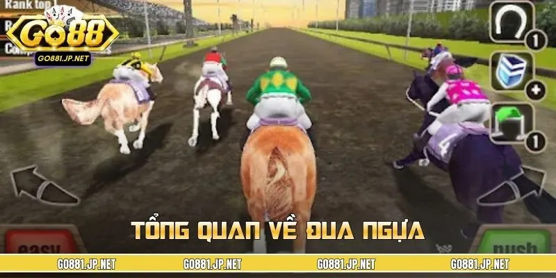 Khái quát về đua ngựa